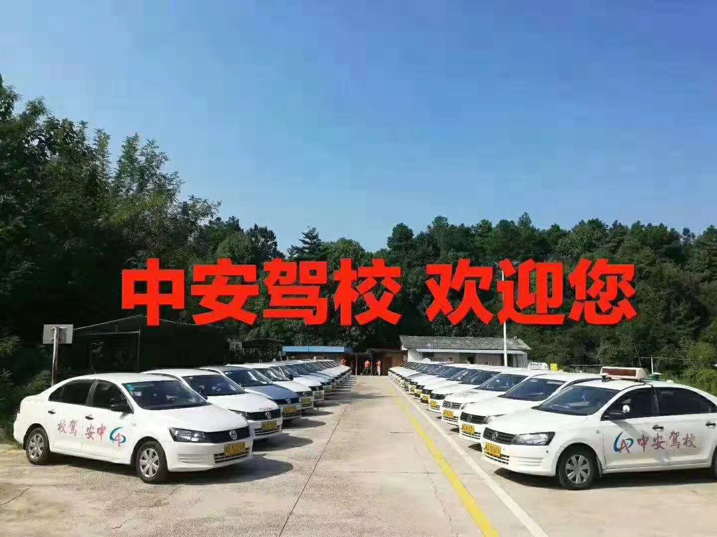 驾校女教练招生陪练车