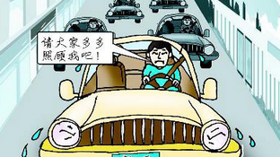 小白开车八大倒车方法