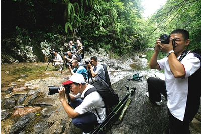 黄石摄影喜好者外出采风遇车祸致5死1重伤