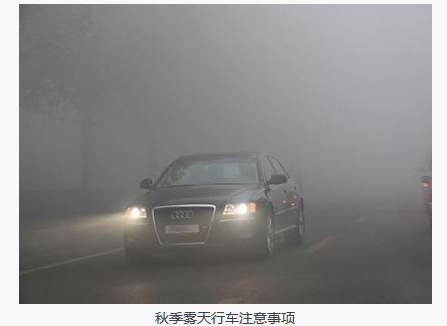 秋天雾天行车需要注意的地方