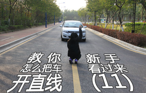 小白如何把车开直线