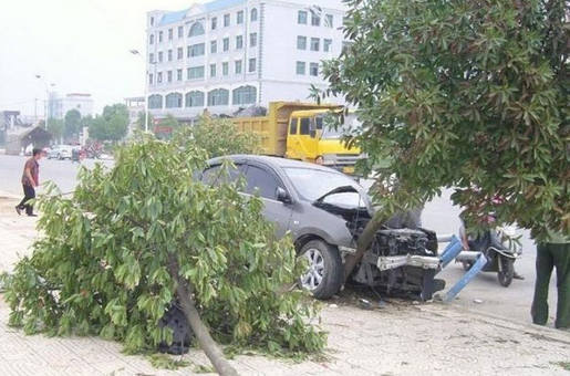 保时捷失去控制连撞断5棵树后又撞死1人