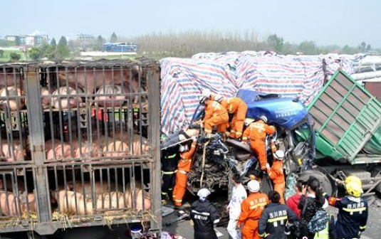 成绵高速因大雾发生15起车祸致2死36伤