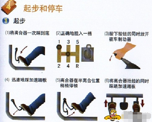 小白学车起步停车换挡操作方法