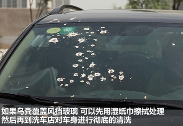 汽车上的鸟粪如何清除
