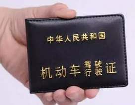 学车迟是一种什么体验