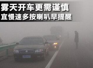 雾天行车应该注意什么