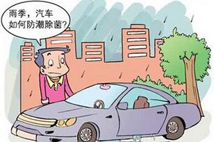 怎么样祛除车内湿气