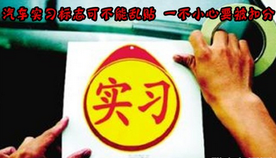 汽车实习标志乱贴易扣分