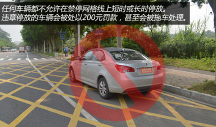 小白上路什么交通标线不可以压