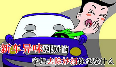 新车异味有哪些去除妙招