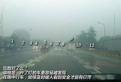 雨天行车开雾灯还是双闪
