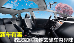 怎么样迅速去除车内异味