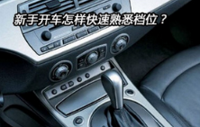 小白开车怎么样迅速熟知档位