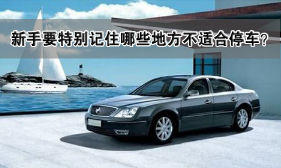 汽车停车有什么需要注意的地方