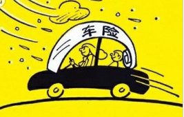 汽车汽车保险可以退保吗