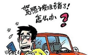 驾照刚到手就被注销了