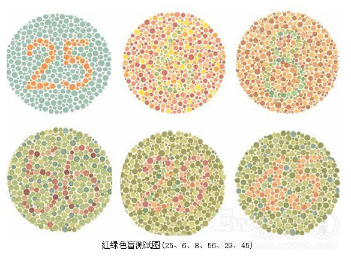 2017年色弱可以驾驶证考试吗
