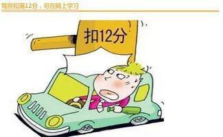 还在驾驶证实习期,这类事情不可以做
