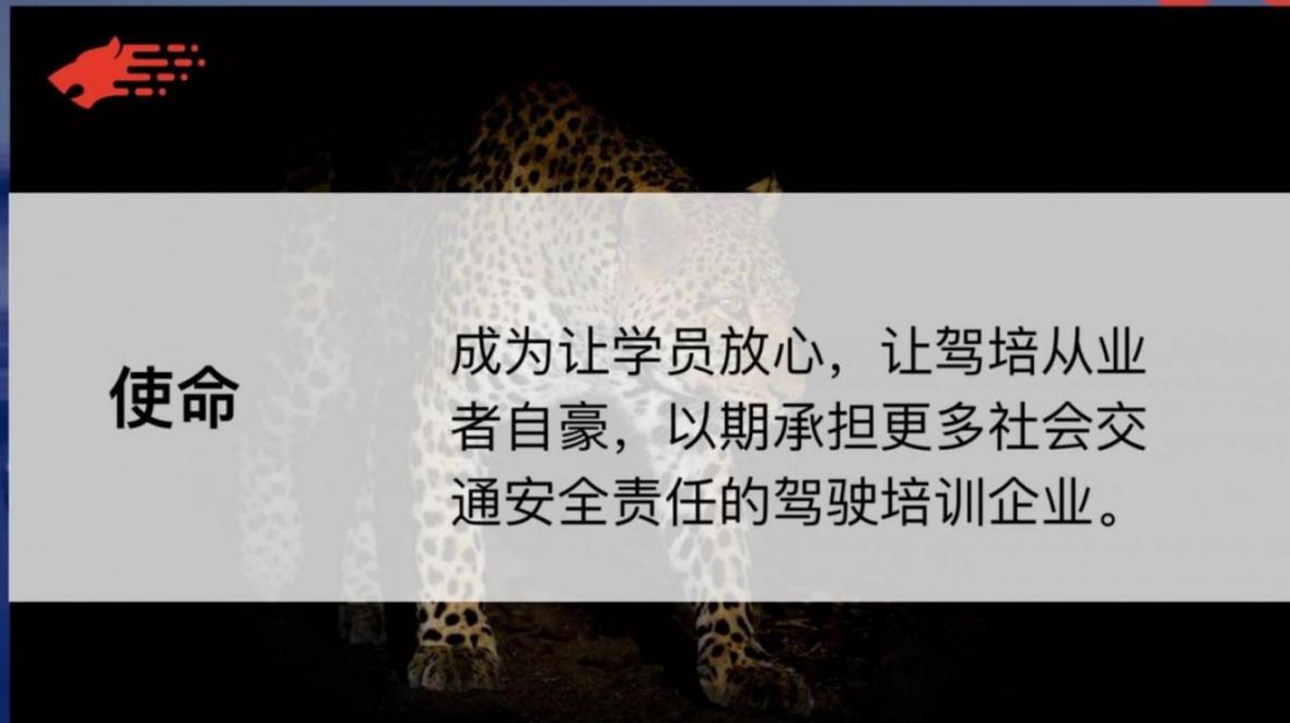 杭州豹到学车驾校 杭州豹到学车驾校