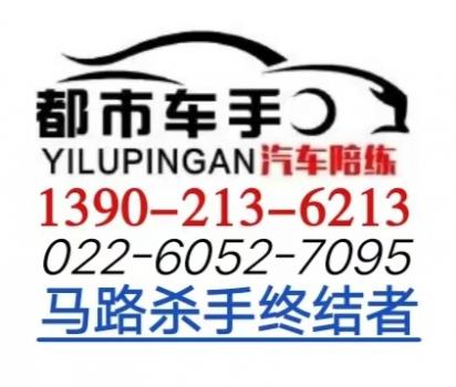 天津一路平安汽车陪练公司