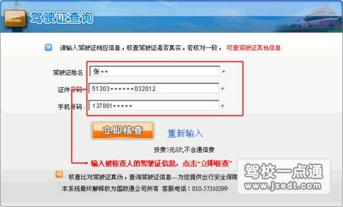 驾照查看网如何用