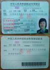 山东德州驾照真假查看攻略