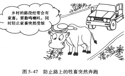 汽车、货车乡村道路驾驶